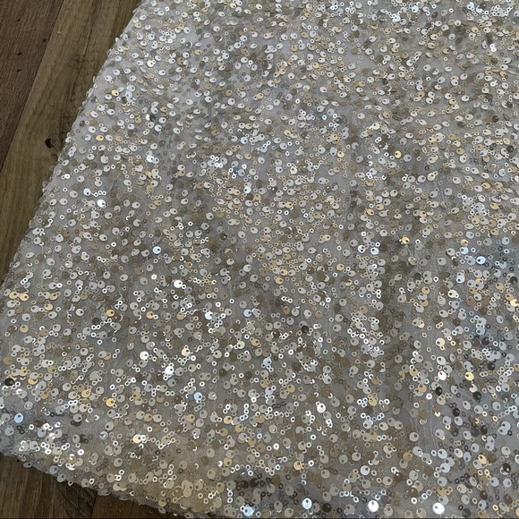 WHBM Silver Sparkle Shift Sequin Dress - Picture 9 of 9